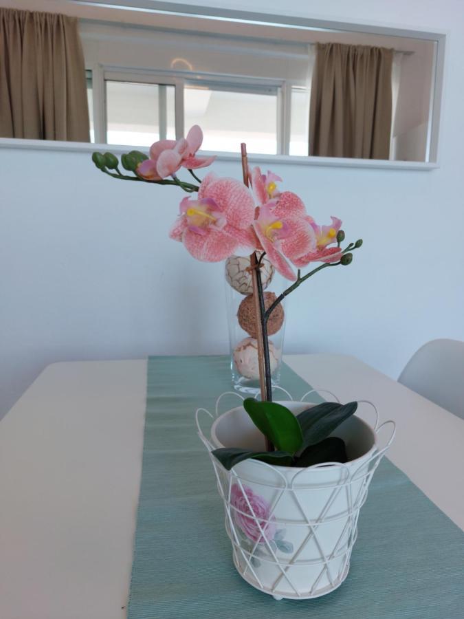 Nefeli Seaside Apartments بوليخرونو المظهر الخارجي الصورة